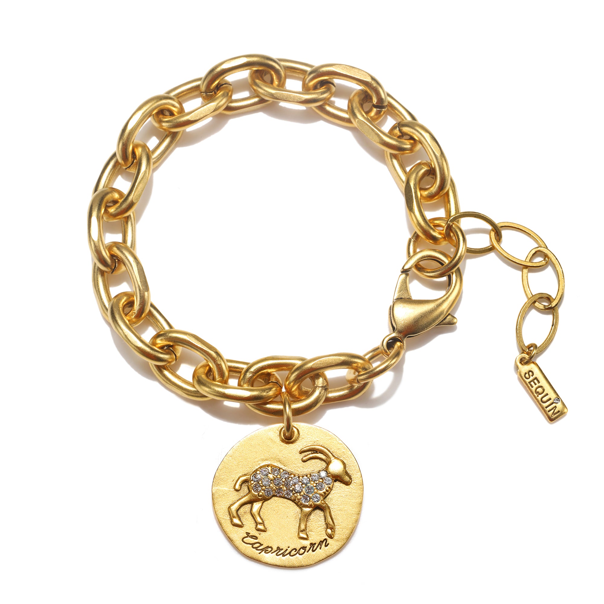 Capricorn_Zodiac_Charm-