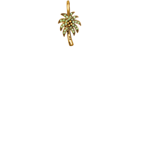 Palm Tree